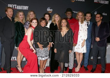 LOS ANGELES - NOV 4:  Greys Anatomy Cast at the 