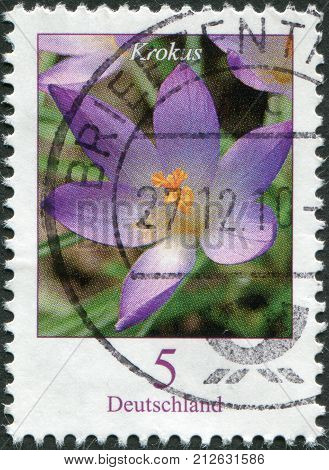 GERMANY - CIRCA 2005: A stamp printed in Germany shows a flower Crocus tommasinianus circa 2005