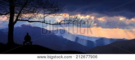 Silhouette Of Human, Who Maditate Under The Big Tree