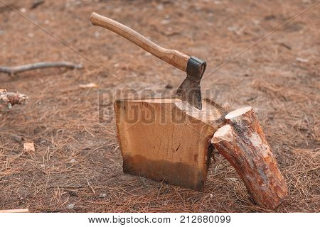 The big axe is stuck in the stump. Exe near with tree block in the autumn forest against the background of a zamli with dry grass on the ground