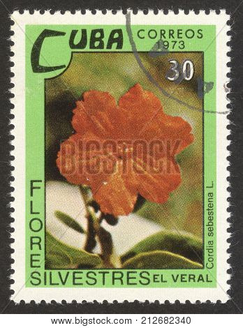 MOSCOW RUSSIA - CIRCA OCTOBER 2017: a post stamp printed in CUBA shows Cordia sebestena flower the series 