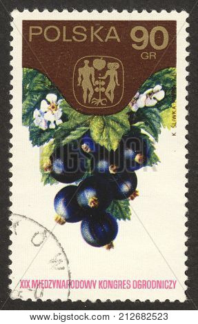MOSCOW RUSSIA - CIRCA OCTOBER 2017: a post stamp printed in POLAND shows black currants the series 