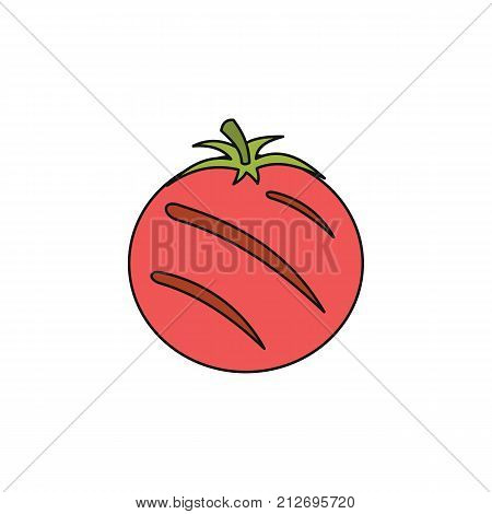 Grilled tomato cartoon icon. Vector illustration of Grilled tomato isolated on white background