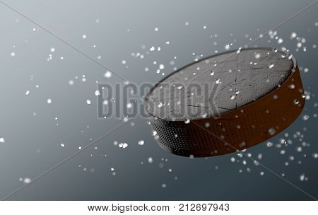 Hockey Puck In Flight