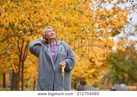 A grandmother in a gray coat adjusts her hair for a walk in the autumn park. With a pensive look and a leash in her hands
