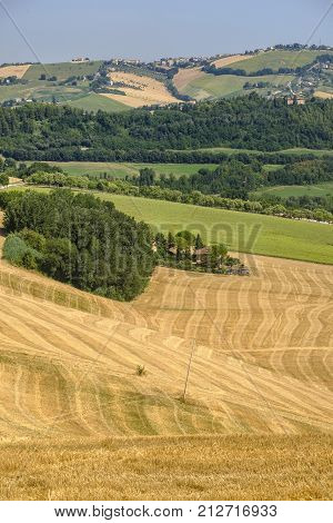 Rural landscape at summer along the road from Fermo to Monterubbiano (Marches italy)