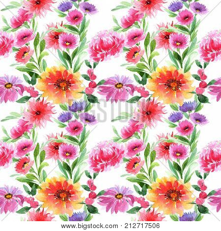 Wildflower aster flower pattern in a watercolor style. Full name of the plant: aster. Aquarelle wild flower for background, texture, wrapper pattern, frame or border.