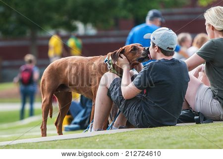 SUWANEE, GA - MAY 2017:  A teenage boy lets his dog lick his face with dog kisses at Woofstock a dog festival at Suwanee Town Center in Suwanee GA on May 6 2017.