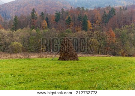 alone haystack near autumn forest in cloudy weather