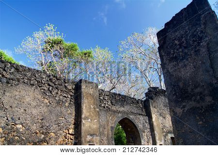 Gedi Ruins Kenya Africa gate blue sky