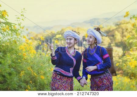 Mexican Tournesol