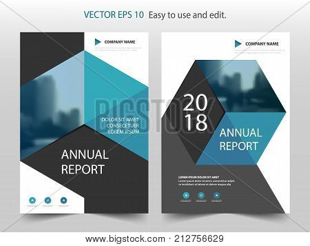 Blue abstract hexagon Brochure annual report design template vector. Business Flyers infographic magazine poster.Abstract layout template Book Cover presentation portfolio.