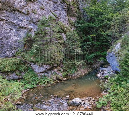 Small waterfall in the Bicaz Gorge Cheile Bicazului-Hasmas National Park of Romania