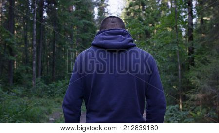Rear View Of Male Hiker Standing In Forest. Hooded Young Man Standing In The Forest And Exploring, F