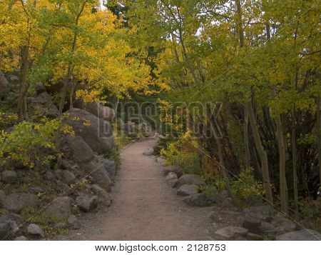 Percorso in autunno
