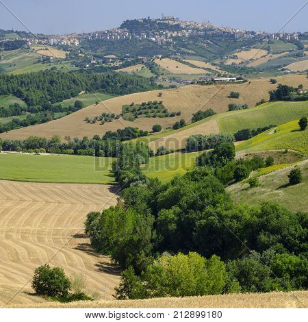 Rural landscape at summer along the road from Fermo to Monterubbiano (Marches italy)