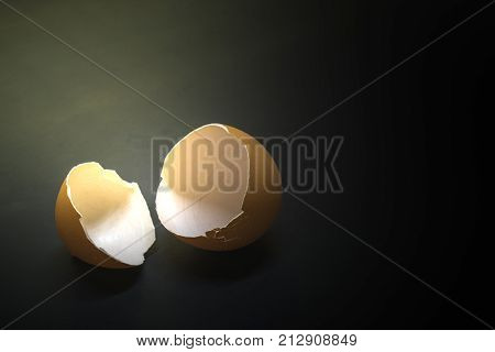 broken egg on black background and space for text on right of image