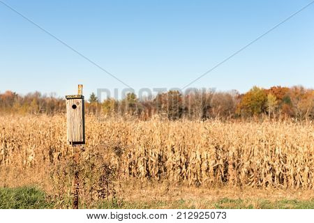Wooden bird house on a rusty metal pole with dry corn stalks and trees in the background. Selective focus on the bird house. Copy space in sky.