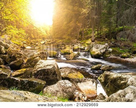 Mountain river with huge stones in the forest. Vydra river, Sumava National Park, Czech Republic.