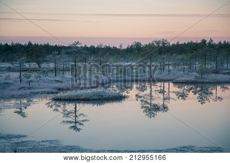 A beautiful morning landscape in a frozem swamp. A small swamp ponds in autumn. Quagmire un wetlands with reflections. White frozem grass.