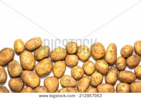 A lot of dirty potatoes on a white background. Potatoes scattered on the underside.