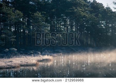 A beautiful swamp pond with a raising mist during the sunrise. Quagmire in a frowen wetlands in autumn. Bright light with sun flares. Beautiful scenery in Latvia.