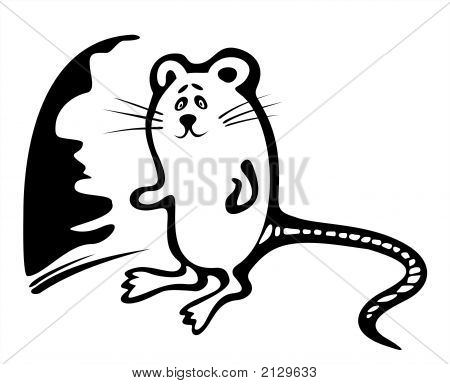 Black-And-White Mousy