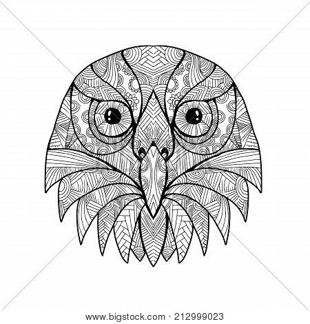 Mandala style illustration of a head of an Australian Barking Owl, Ninox connivens or winking owl viewed from front on isolated backgound.