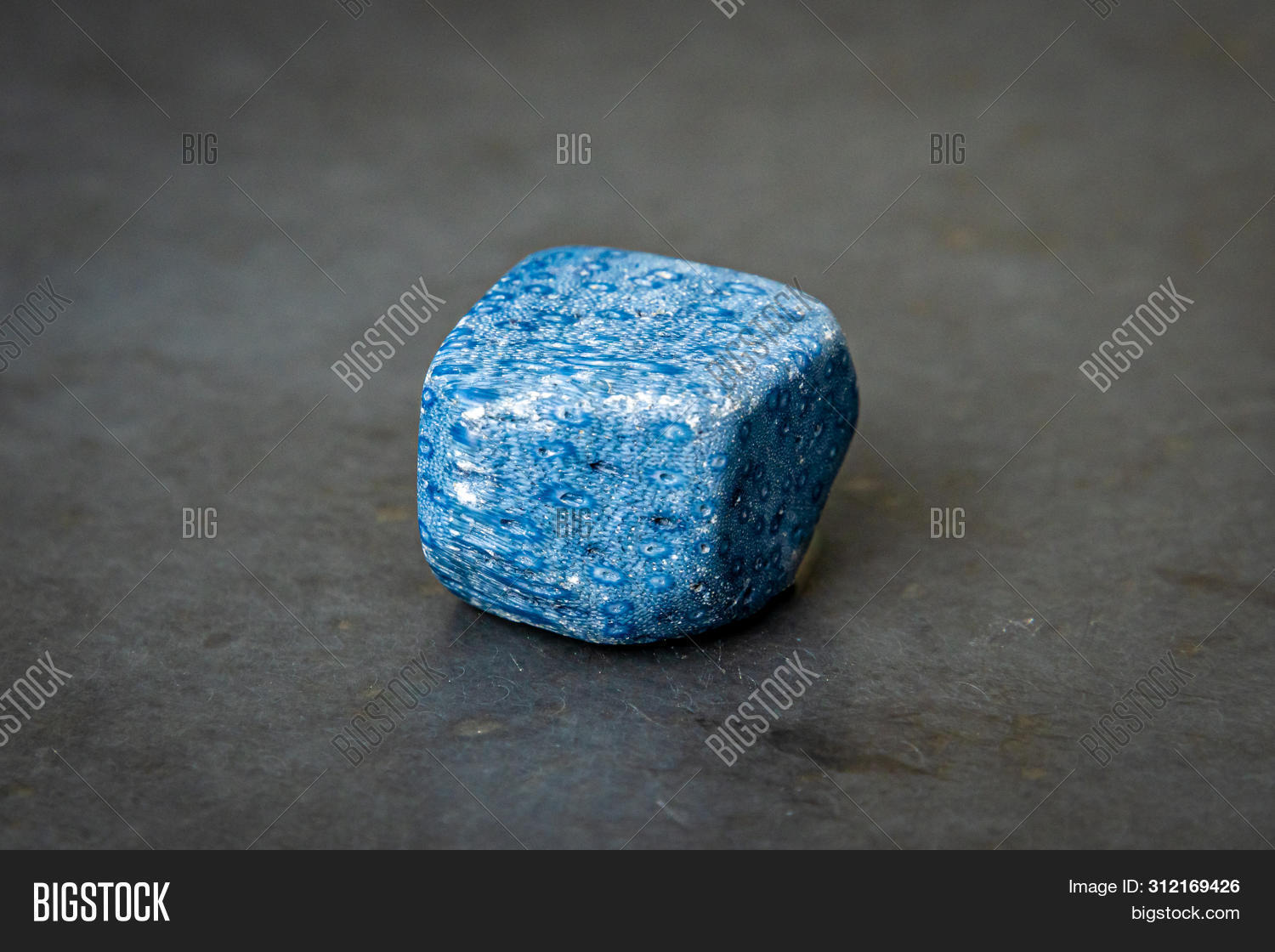 Blue Sponge Coral Image & Photo (Free Trial) Bigstock