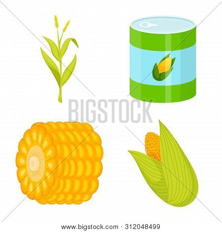 Vector Design Of Maize And Food Symbol. Set Of Maize And Crop Stock Symbol For Web.