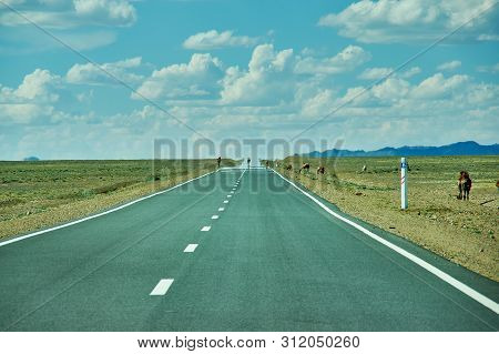 Road In Gobi Desert