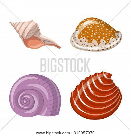 Vector Design Of Seashell And Mollusk Symbol. Collection Of Seashell And Seafood Stock Vector Illust
