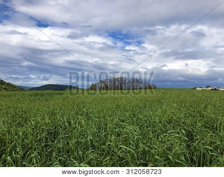 Rhine River Valley And Fertile Agricultural Fields, Buchberg - Canton Of Schaffhausen, Switzerland