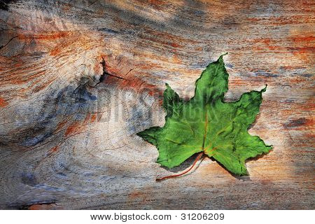 verde foglia secca su sfondo texture legno