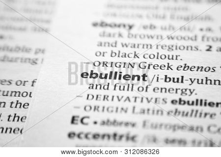 Word Or Phrase Ebullient In A Dictionary