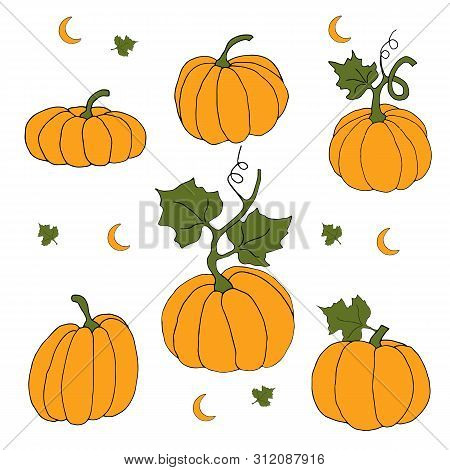 Pumpkin Orange Will Help Create A Mood For The Holiday Of Autumn. Vector Hand Draw  Illustration Set