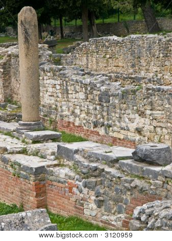 Salona