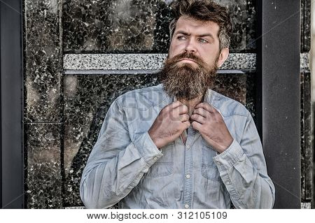 Barber Concept. Beard Grooming. Beard Care. Masculinity And Manliness. Man Attractive Bearded Hipste