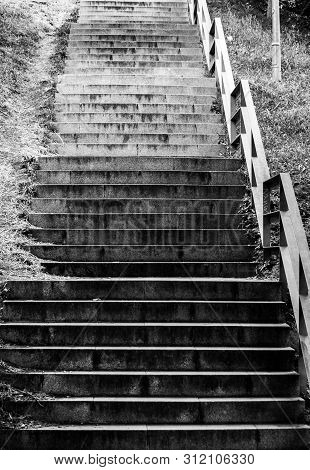 Stairs On Black And White Growing Concept Going Up