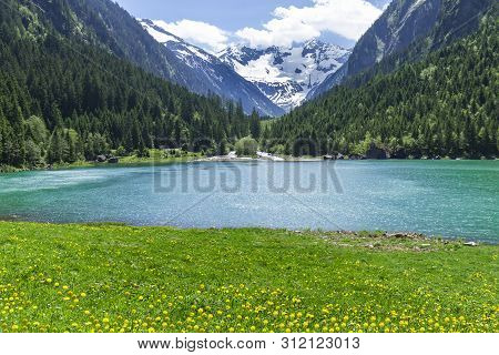 Amazing Alpine Landscape With Green Meadows Flowers And Snowy Mountains In The Background. Austria, 