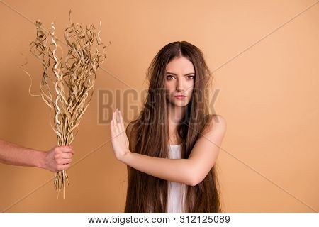 Close-up Portrait Of Her She Nice-looking Attractive Grumpy Gloomy Lady Refusing To Take Dried Flowe