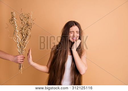 Portrait Of Her She Nice-looking Attractive Grumpy Gloomy Desperate Lady Refusing To Take Dried Flow