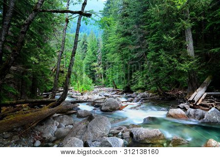 Tye river scenic creek in Northcascades national forest,washington