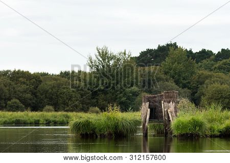 Beautiful Wetland In The Natural Park Of Saint Lyphard