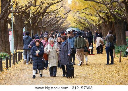 Tokyo, Japan - November 30, 2016: People Celebrate Ginkgo Avenue Autumn Foliage In Tokyo, Japan. Ich