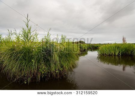 Beautiful Wetland In The Natural Park Of Saint Lyphard (france)
