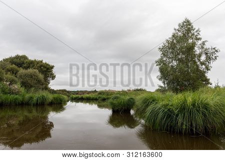 Beautiful Wetland In The Natural Park Of Saint Lyphard (france)