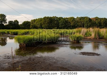 Beautiful Wetland In The Natural Park Of Saint Lyphard (france)