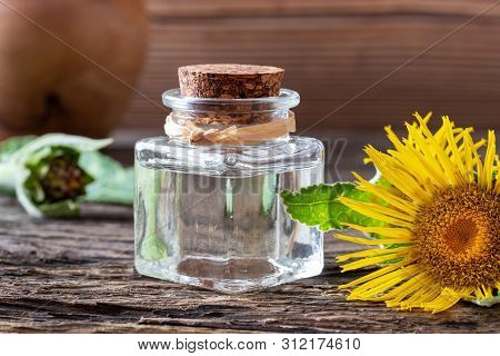 Elecampane Essential Oil With Fresh Inula Helenium Flowers On A Table