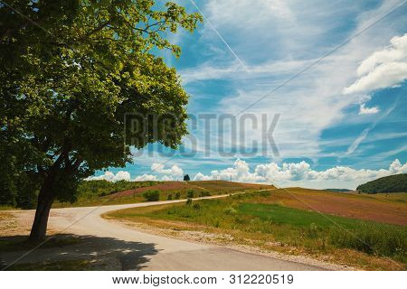 Bright Beautiful Day On Mountain Road, Colorful Environment During Summer.